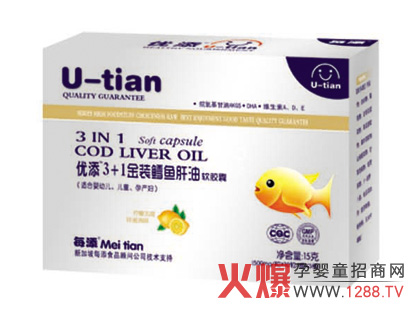 ����3+1���b�L�~����