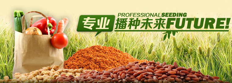 �Ϻ�������I���޹�˾������