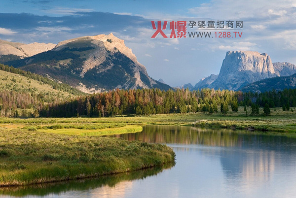 ����ϴ�섩��Charlies Soap���ă�����