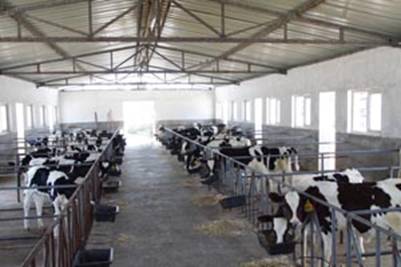 ��ţ���e�\�Ӆ^ 