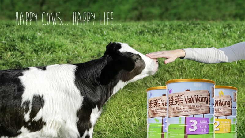 ���������������Q���޹�˾