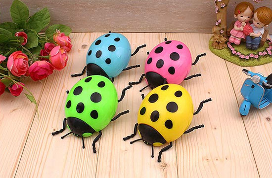 ������С���x��LED����Сҹ��