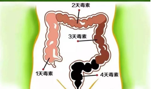 �lƱ - ����.jpg