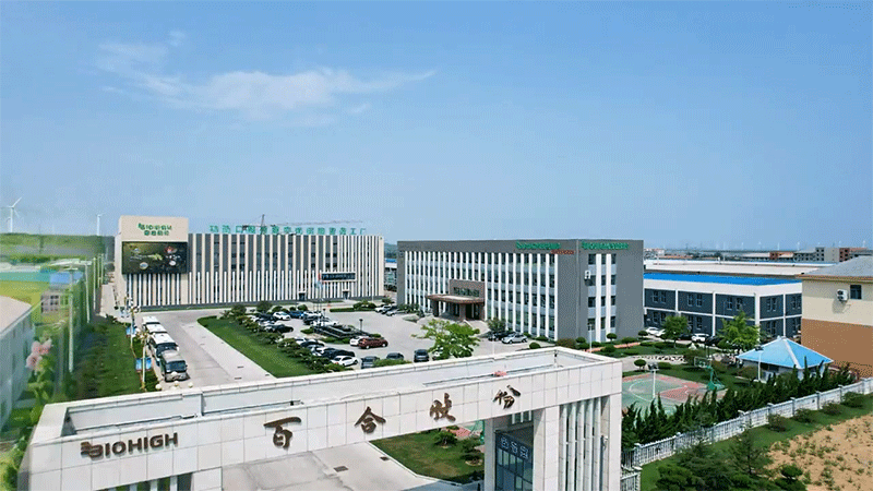 ȫٺϿG܊мأ8ܹSȫҕ