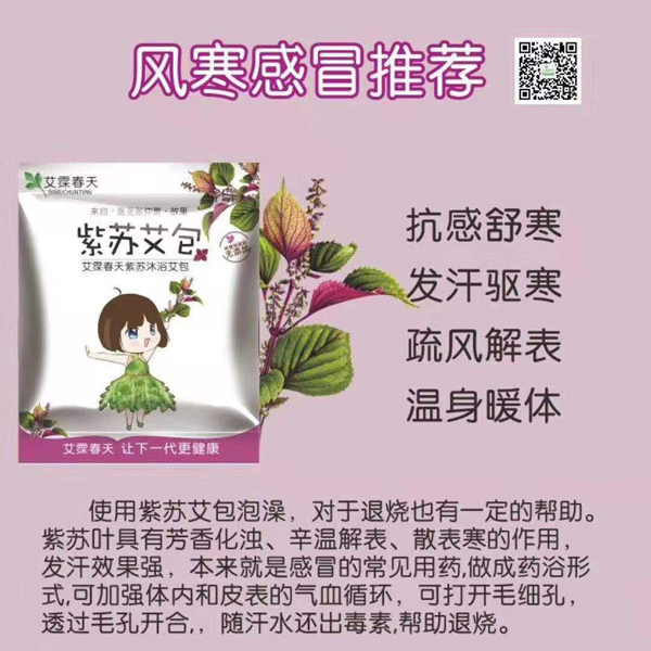 艾霂春天紫蘇艾包.jpg 艾霂春天紫蘇艾包.jpg