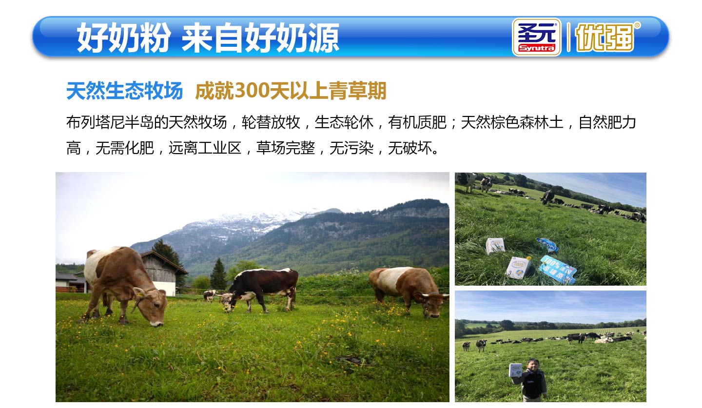  ʥԪ�����̷�05