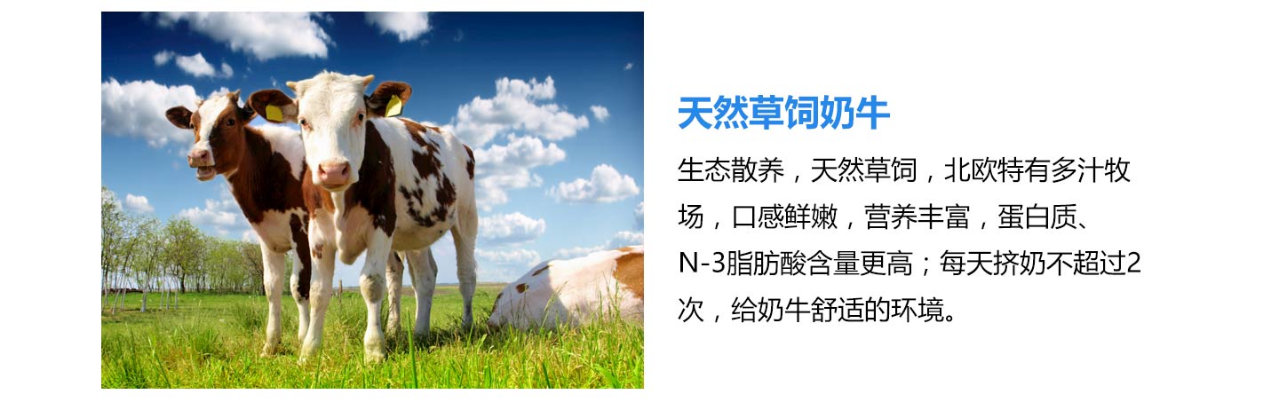  ʥԪ�����̷�06