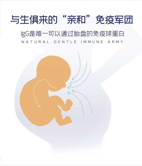 皮斯博士乳鐵蛋白有機調制乳粉8.jpg