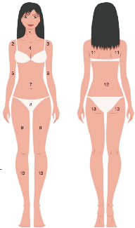 經筋纖體療法.jpg 經筋纖體療法.jpg