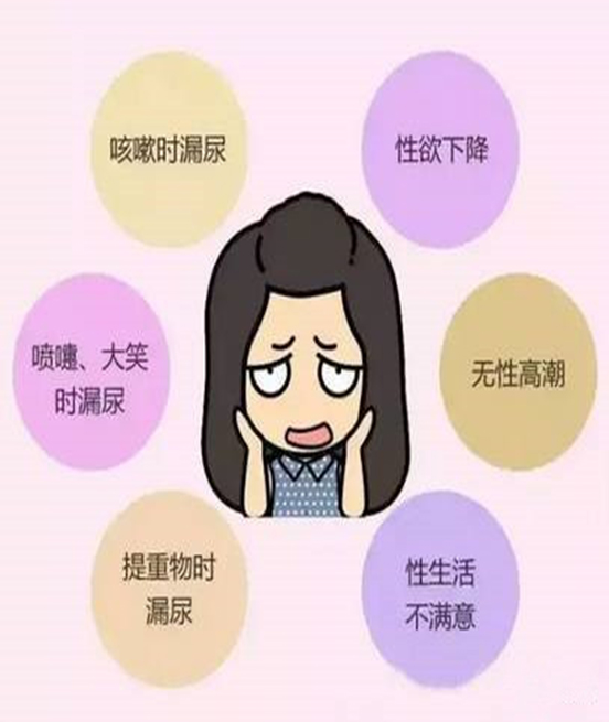 少林永化堂產后項目-盆底肌修復