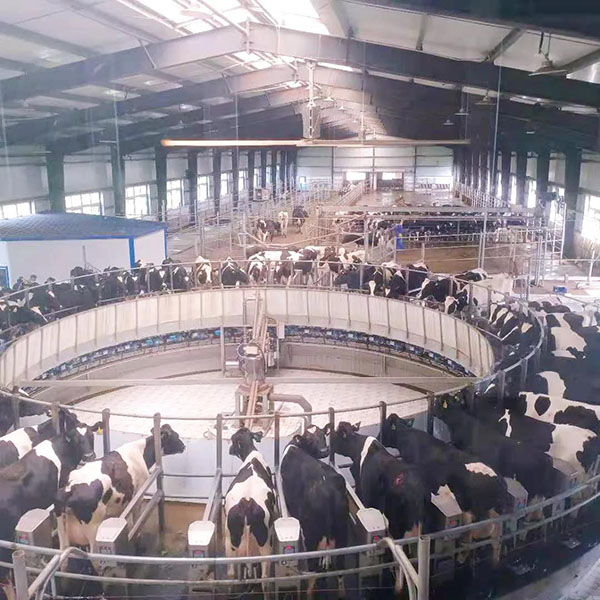 探訪每嘉工廠之旅 見證高品質奶粉的誕生5.jpg