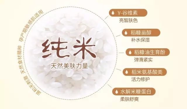 純米核心護膚成分.jpg 純米核心護膚成分.jpg