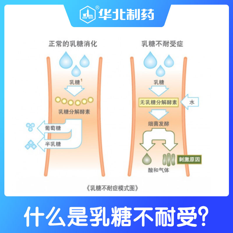 華北制藥華維健康乳糖酶水解蛋白調制乳粉2.jpg