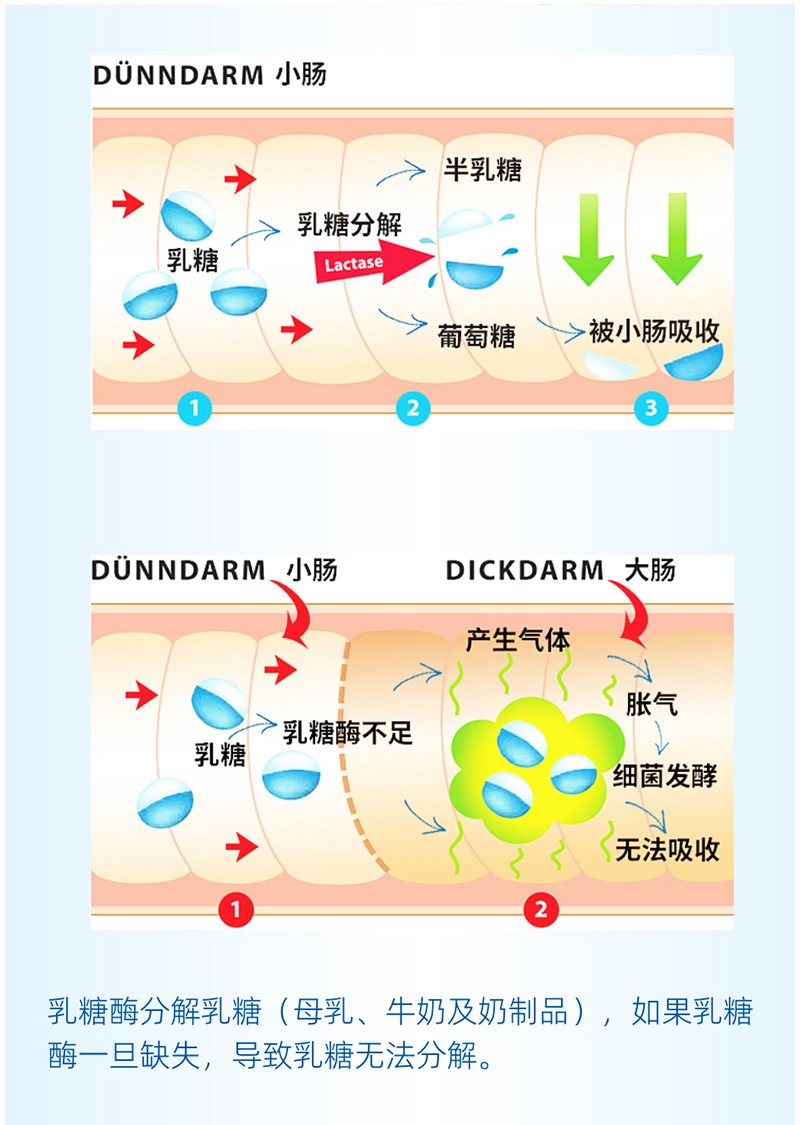 金奇仕乳糖酶調制乳粉詳情圖_03