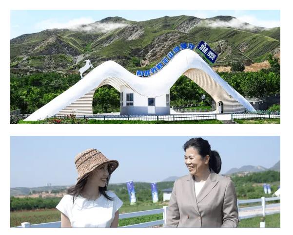 雅泰乳業.jpg 雅泰乳業.jpg