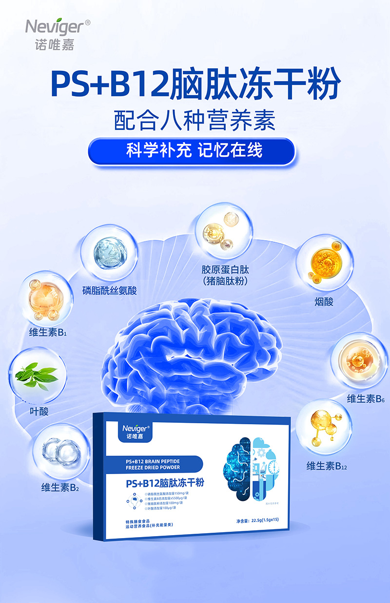 �ƌW�B�o���X���x���ZΨ�� PS+B12 �X�ă��ɷۣ���칝����Ⱥ���� ���p�����I�B�a�o��