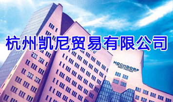 ���݄P���Q�����޹�˾