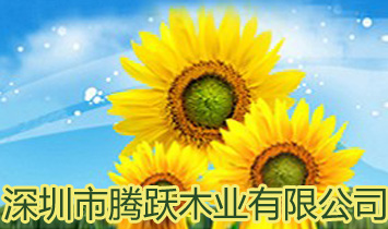 �������v�Sľ�I���޹�˾