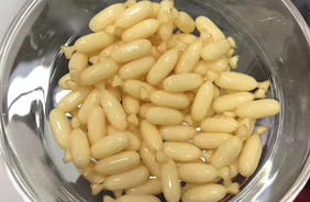 燕嶺嬰童營養品代工