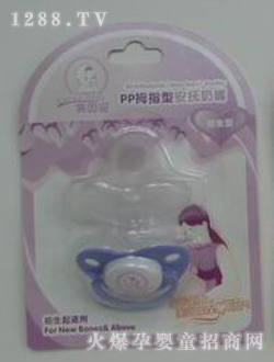 ����PPĴָ������������