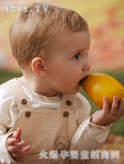 ���Ȍ�������ѝ