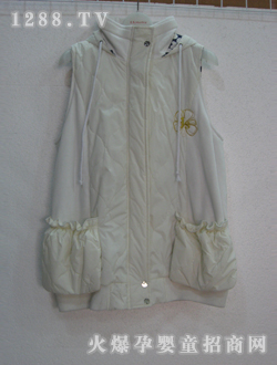 �����ЋD�bW180017B�װ�