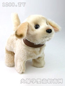 ��֮��С�݊Z��Ȯ