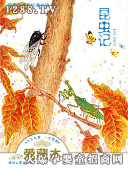 ����(r��n)�(y��ng)�⡶���x(ch��ng)ӛ��