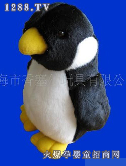 ������С���Z