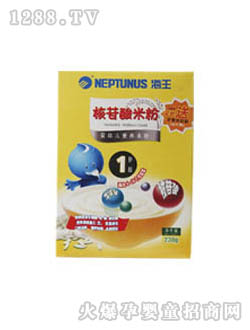 海王核苷酸嬰幼兒營養米粉