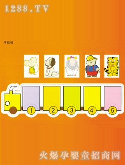 С���󔵌W�̣��W����