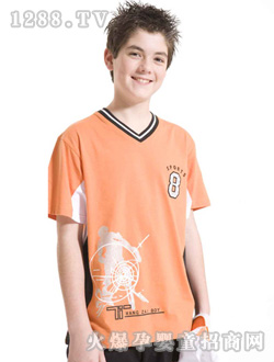 �������SɫT��