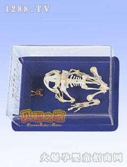 ؐ�ܹ����˱��̾�