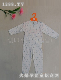 �n�n�����ރ���