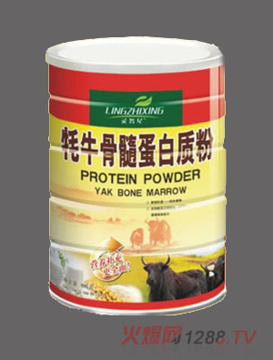 �`������ţ���走���|��