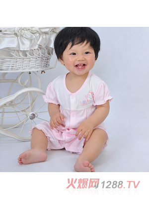 ��ȼ������Ĺ�������