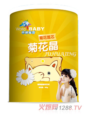 環球寶貝菊花蓮心菊花晶