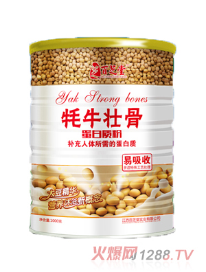 ��֥����ţ�Ƿ۵����|��