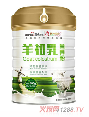 �ż�ؐ�������I�B��