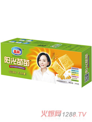 �w���(y��ng)�������}���