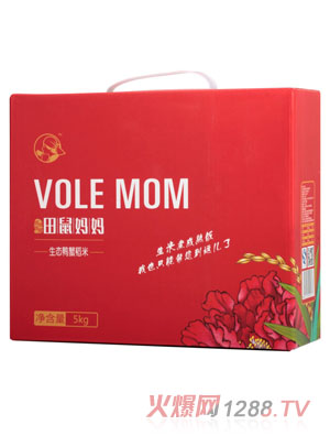 ���󋌋����B���׼�ͥ�b