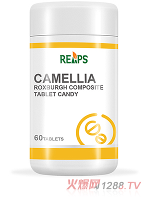 ����Ӵ���ͺω�Ƭ�ǹ�