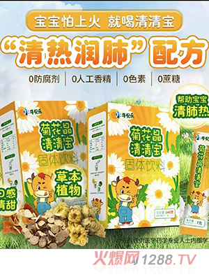 牛貝樂菊花晶清清寶